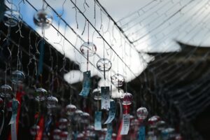 What Makes Futera Unique and Special in the Collectibles Market