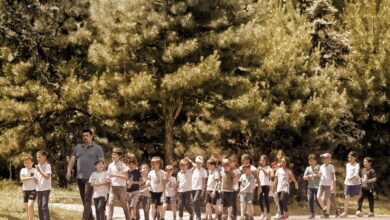 Essential Tips for First-Year Teachers to ThriveEssential Tips for First-Year Teachers to Thrive